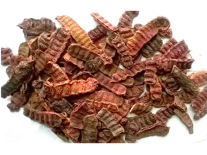 VK 100% Pure Natural साबुत शिकाकाई, Sabut Shikakai 200 gm