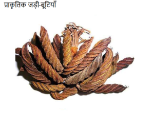 VK Marod Phali / मरोड़ फली/ Helicteres Isora / Maror Phal / Jonka Phal / Melikayalu / Lalparnni / Bhura / Avaitini Screw Beans /- 200 gm