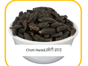 VK 100% Pure छोटी हरड़, Choti harad Seed, Choti Harad 100 gm